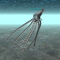 Iceclad Ocean - Polar Kraken (Rogue Epic 2.0)