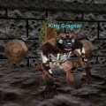 The Warrens - King Gragnar