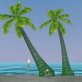Barren Coast - Palm beach